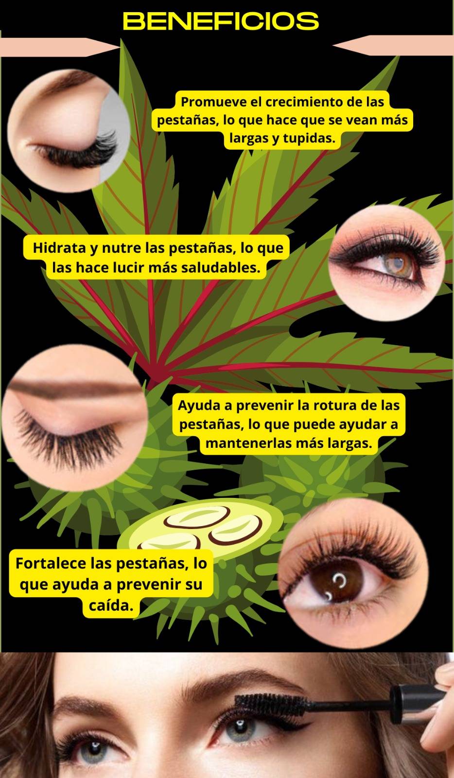 ACEITE 100 % DE PESTAÑAS
